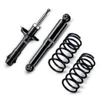 Shock Absorbers and Struts