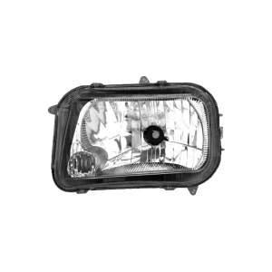 Omni Head Lights